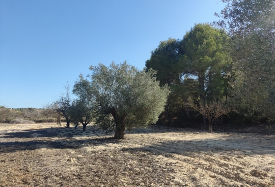 Revente - Finca - Torremendo