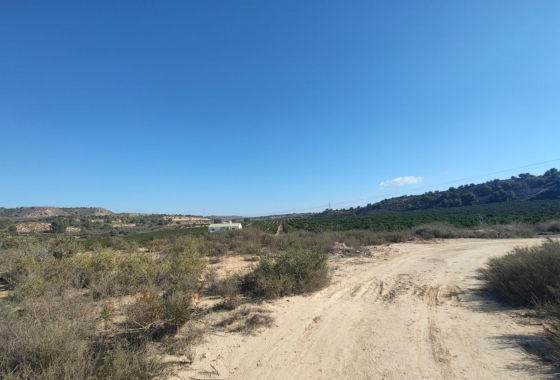 Revente - Finca - Torremendo