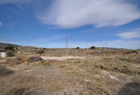 Resale - Finca - Monóvar/Monóver - Inland