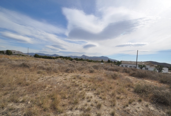 Resale - Finca - Monóvar/Monóver - Inland