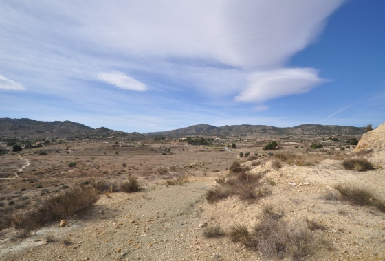 Resale - Finca - Monóvar/Monóver - Inland