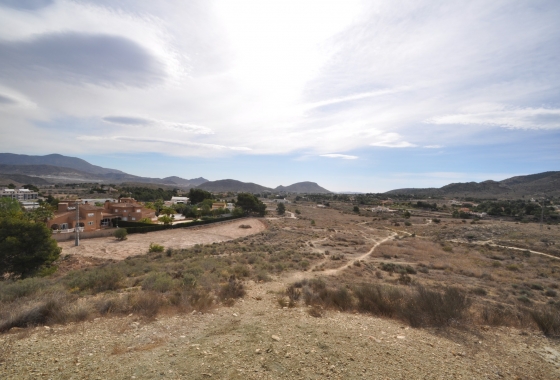 Resale - Finca - Monóvar/Monóver - Inland