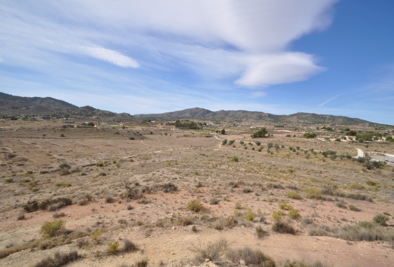 Resale - Finca - Monóvar/Monóver - Inland