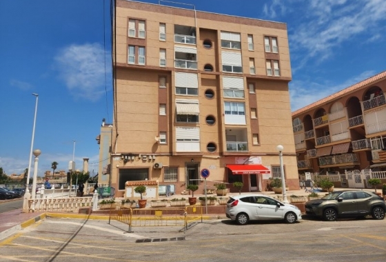 Herverkoop - Appartement / flat - La Mata