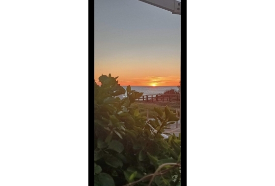 Wiederverkauf - Bungalow - Torrevieja - La Mata