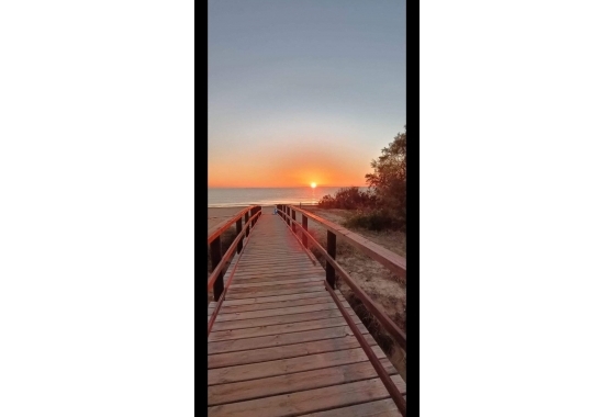 Wiederverkauf - Bungalow - Torrevieja - La Mata