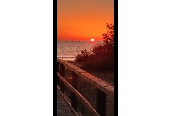 Wiederverkauf - Bungalow - Torrevieja - La Mata