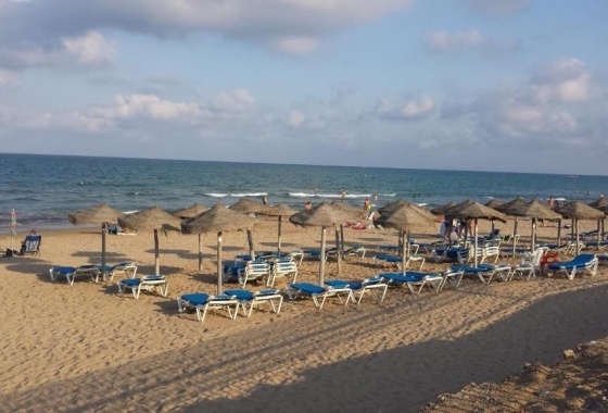 Wiederverkauf - Bungalow - Torrevieja - La Mata