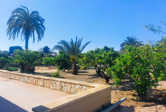 Herverkoop - Finca - La Marina - Costa Blanca