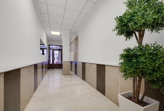 Wiederverkauf - Wohnung - Torrevieja - Estacion De Autobuses