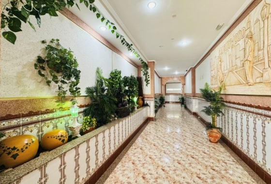 Reventa - Apartamento / piso - La Mata