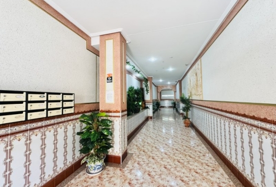 Reventa - Apartamento / piso - La Mata