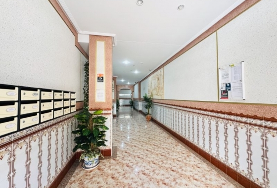 Wiederverkauf - Wohnung - La Mata - Costa Blanca