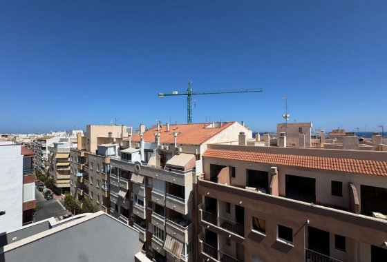 Wiederverkauf - Wohnung - Torrevieja - Costa Blanca