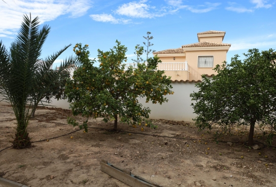 Wiederverkauf - Villa - Ciudad Quesada - Costa Blanca Sur