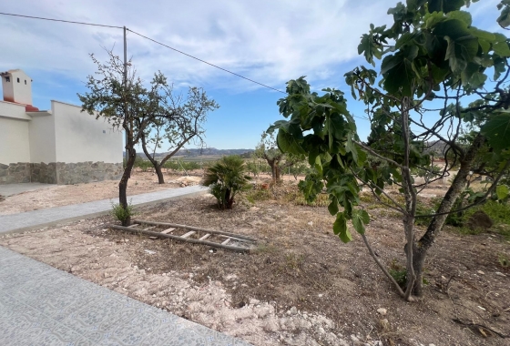 Herverkoop - Villa - La Solana