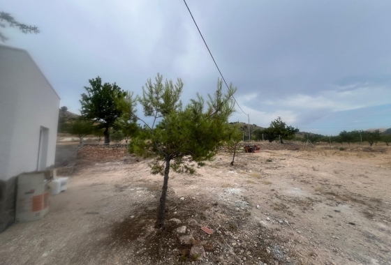 Herverkoop - Villa - La Solana