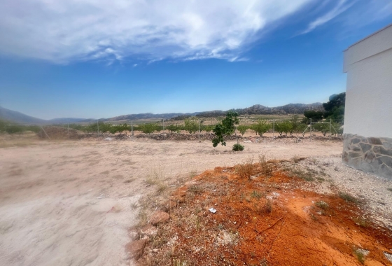 Herverkoop - Villa - La Solana