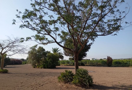 Herverkoop - Villa - Daya Nueva - Costa Blanca