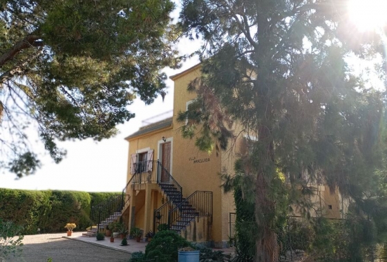 Herverkoop - Villa - Daya Nueva - Costa Blanca