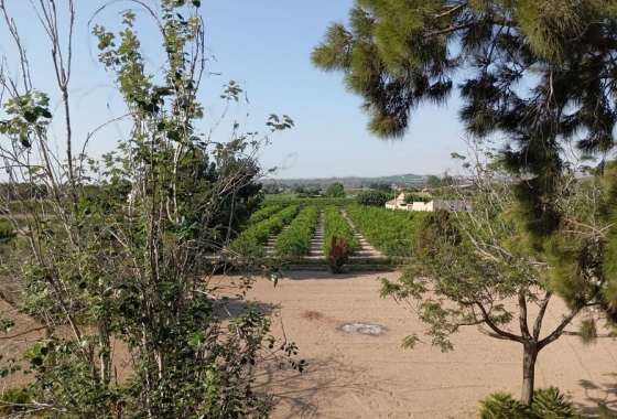 Herverkoop - Villa - Daya Nueva - Costa Blanca