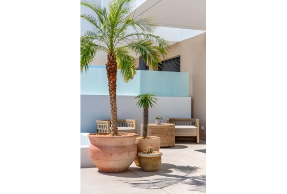 Nieuwbouw Woningen - Herenhuis - Dolores - Sector 3