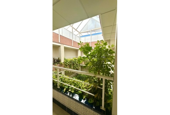 Herverkoop - Penthouse - Torrevieja - Centro