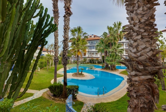 Herverkoop - Appartement / flat - Torrevieja - Costa Blanca