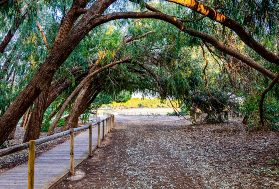 Herverkoop - Appartement / flat - Torrevieja - Costa Blanca