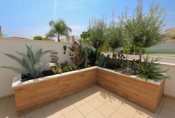 Herverkoop - Appartement / flat - Pilar de la Horadada - Costa Blanca
