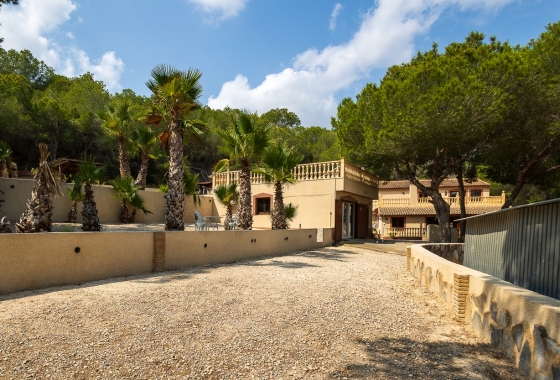Herverkoop - Finca - Torremendo - Costa Blanca