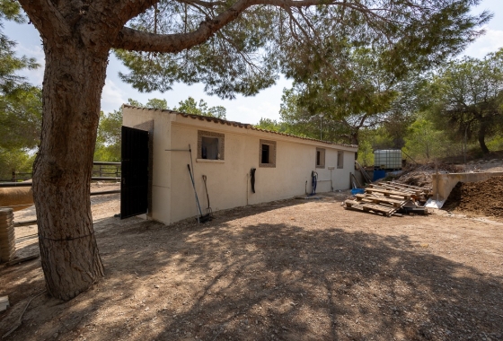 Herverkoop - Finca - Torremendo - Costa Blanca