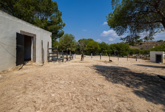 Herverkoop - Finca - Torremendo - Costa Blanca