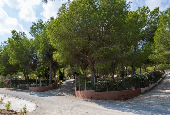 Herverkoop - Finca - Torremendo - Costa Blanca