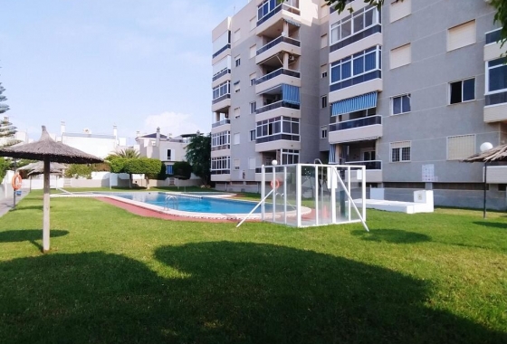 Wiederverkauf - Wohnung - Torrevieja - Torreblanca