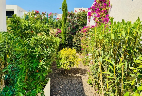 Resale - Villa - Algorfa - Inland