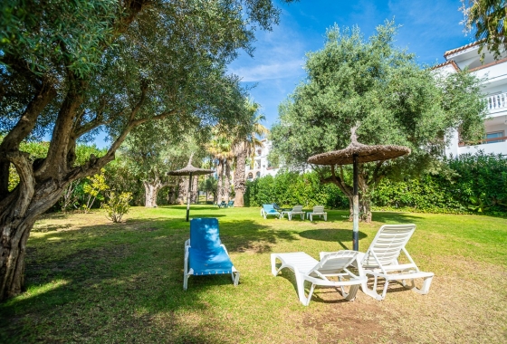 Wiederverkauf - Wohnung - Orihuela - Inland