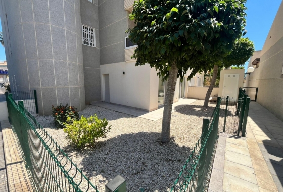 Wiederverkauf - Wohnung - Torrevieja - aguas nuevas