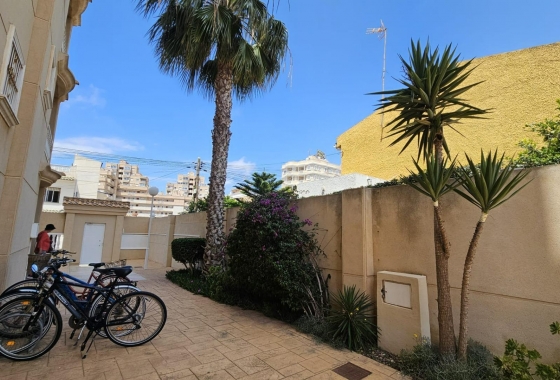 Wiederverkauf - Wohnung - Torrevieja - Nueva Torrevieja