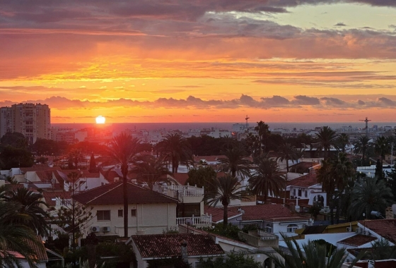 Wiederverkauf - Wohnung - Torrevieja - Nueva Torrevieja