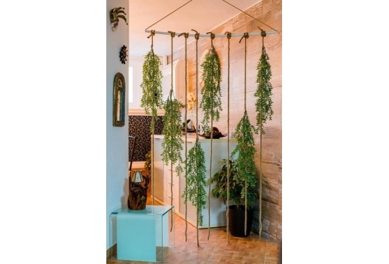 Herverkoop - Herenhuis - Torrevieja - Acequion