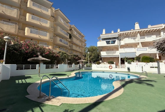 Revente - Appartement - Orihuela - Inland