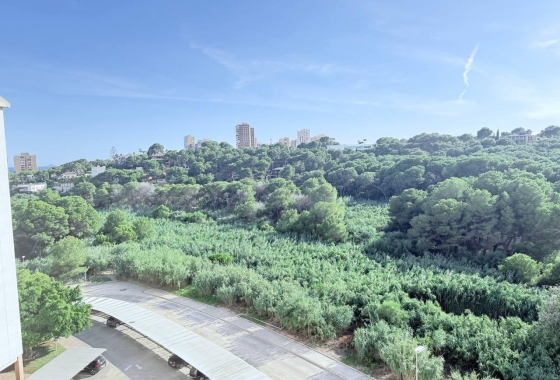 Wiederverkauf - Wohnung - Orihuela Costa - Campoamor