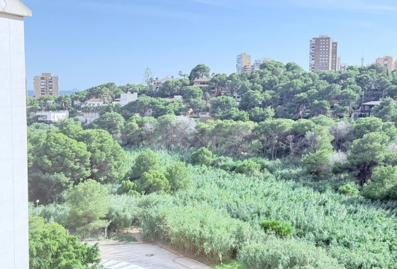 Wiederverkauf - Wohnung - Orihuela Costa - Campoamor