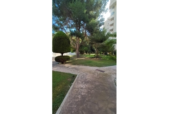 Wiederverkauf - Wohnung - Orihuela Costa - Campoamor