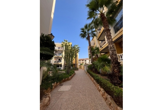 Herverkoop - Penthouse - Torrevieja - Los Frutales