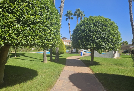 Wiederverkauf - Bungalow - La Mata - Costa Blanca