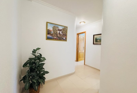 Herverkoop - Appartement / flat - La Mata