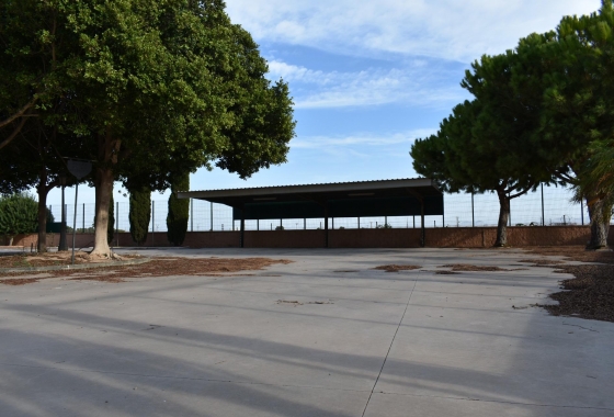 Herverkoop - Finca - Torre Pacheco - Dolores De Pacheco