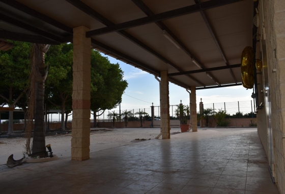 Herverkoop - Finca - Torre Pacheco - Dolores De Pacheco